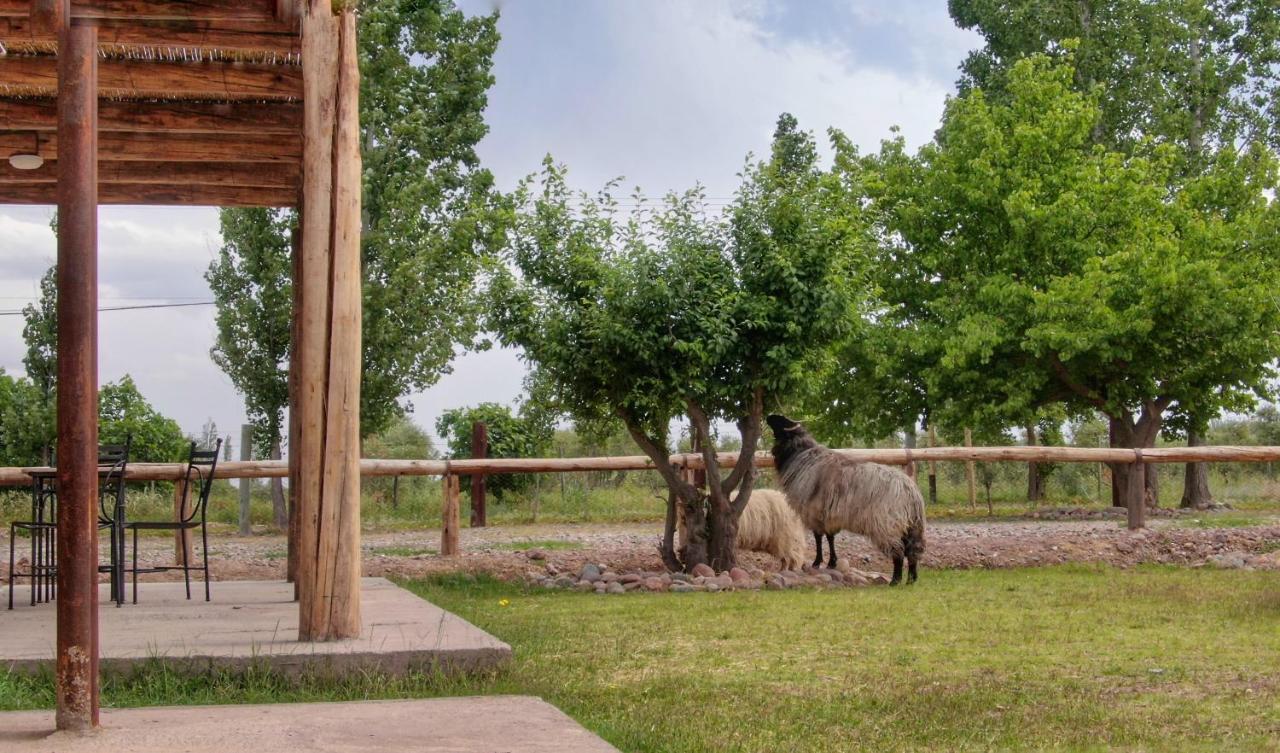 Complejo Turistico Chachingo Villa Maipú Kültér fotó